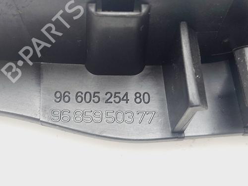 Front left interior door handle CITROËN C4 II (NC_) | BP31938976I13