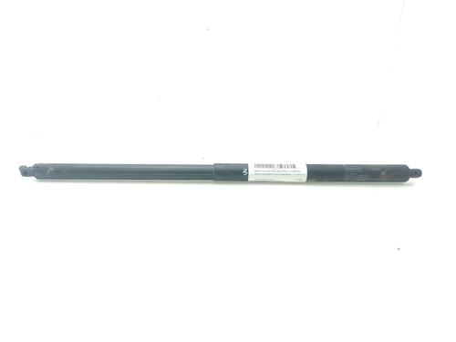 Used Tailgate lift support FORD KUGA II (DM2) [2012-2025]  29810734