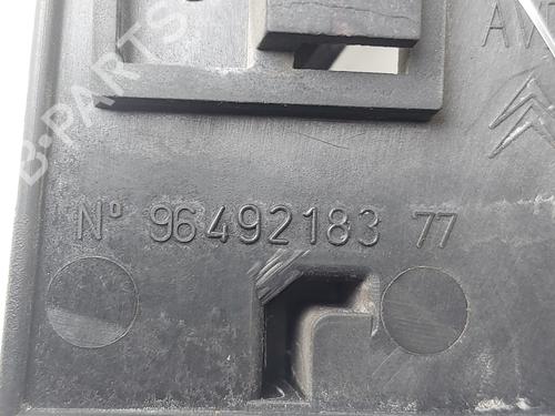 Front right interior door handle CITROËN C5 II (RC_) | BP33620106I14 - Image 3