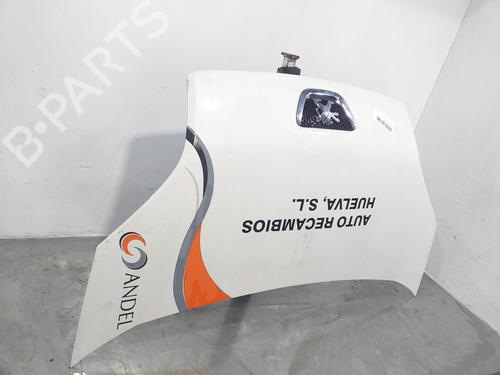 Hood PEUGEOT BIPPER (AA_) 1.3 HDi 75 | BP16871389C1 