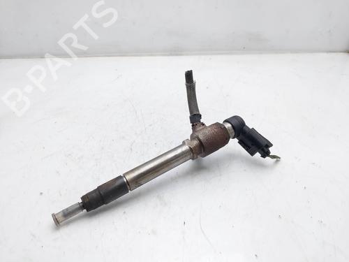 Injector LAND ROVER RANGE ROVER SPORT I (L320) 2.7 D 4x4 | BP17706835M100 
