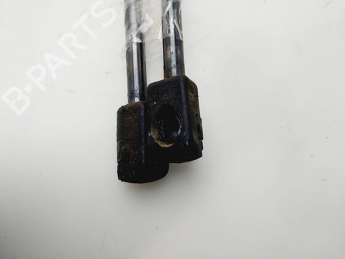 Tailgate lift support CITROËN C3 II (SC_) | BP30838529C138 - Image 4