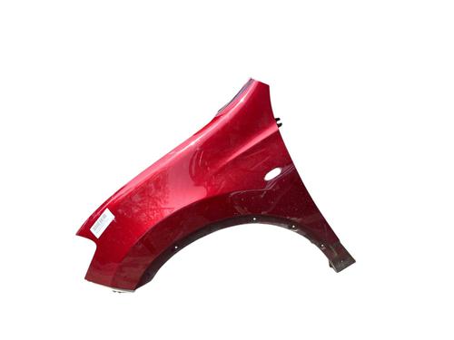 Used Left front fenders NISSAN QASHQAI / QASHQAI +2 I (J10, NJ10, JJ10E) 2.0 dCi (150 hp) 25257111