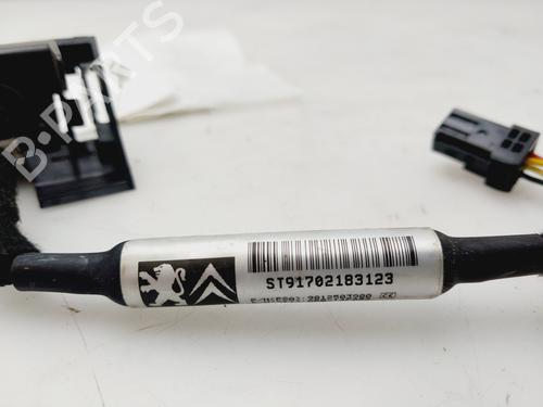 Camera PEUGEOT 308 SW II (LC_, LJ_, LR_, LX_, L4_)  | BP22552737E14 