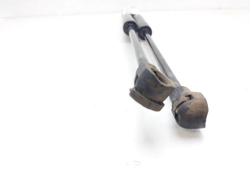 Tailgate lift support RENAULT CLIO IV (BH_)  | BP15284911C138 