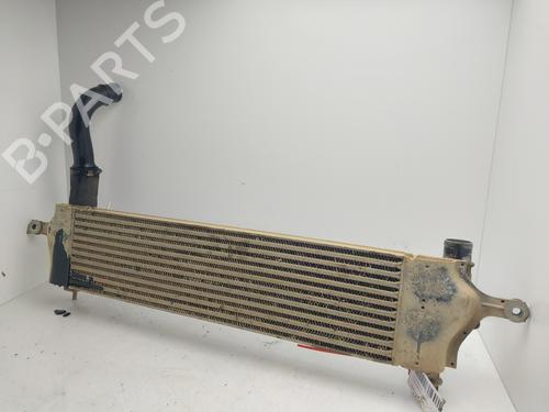 Intercooler Intercooler NISSAN QASHQAI I (J10, NJ10) [2006-2015] 33630313 33630313