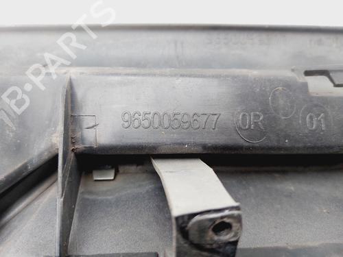 Grille CITROËN XSARA PICASSO (N68) 2.0 HDi | BP29824566C40
