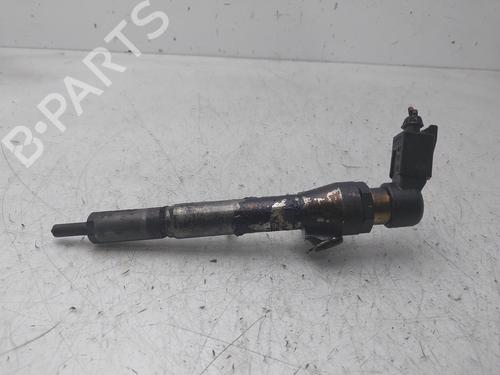Used Injector RENAULT MEGANE II (BM0/1_, CM0/1_) [2001-2012]  30769611