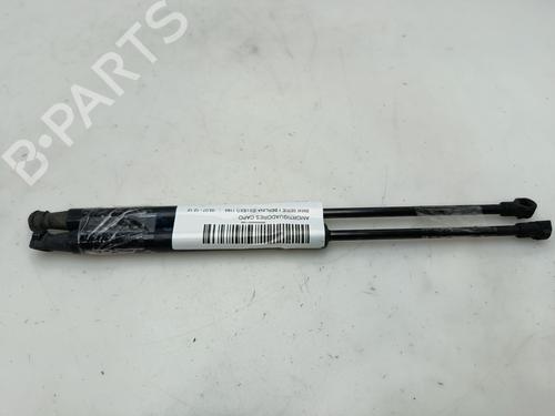 Hood lift support BMW 1 (E87) 118 d | BP29467867C139 