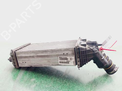 Intercooler CITROËN C4 CACTUS 1.2 THP 110 | BP29326361M30 