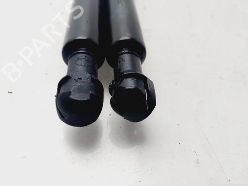 Tailgate lift support BMW X5 (E53) 3.0 d | BP20304818C138 