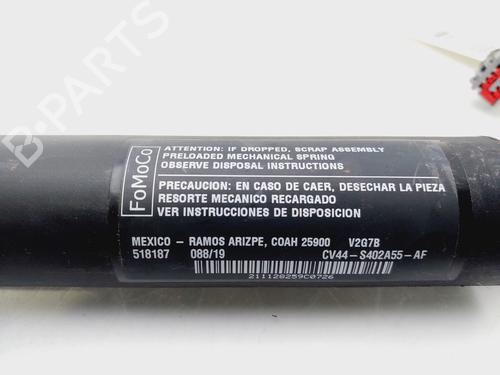 Tailgate lift support FORD KUGA III (DFK)  | BP29719385C138 