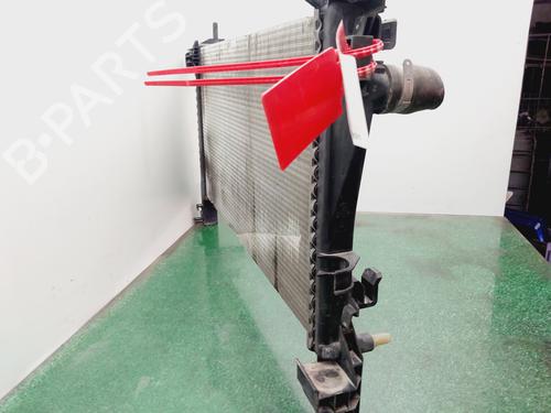 Water radiator FIAT FIORINO Box Body/MPV (225_)  | BP29555429M31 