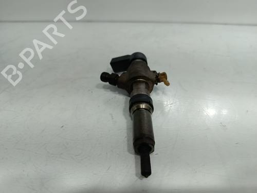 Injector FORD FIESTA V (JH_, JD_)  | BP29875051M100 
