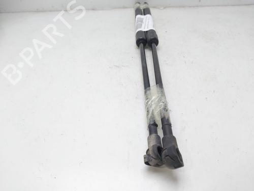 Tailgate lift support NISSAN X-TRAIL I (T30)  | BP16528770C138 