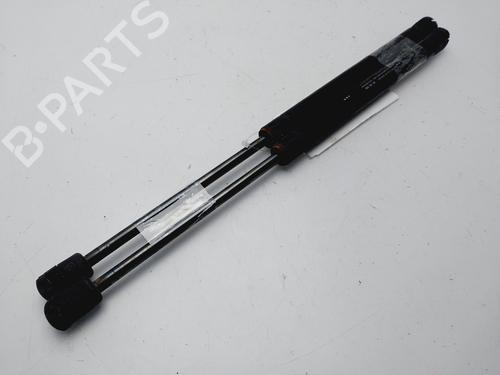 Tailgate lift support CHEVROLET AVEO / KALOS Hatchback (T200) 1.4 16V | BP23648690C138 