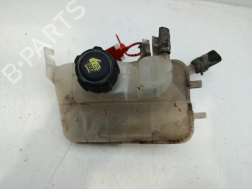 Used Expansion tank RENAULT MEGANE III Grandtour (KZ0/1) [2008-2016]  32015507