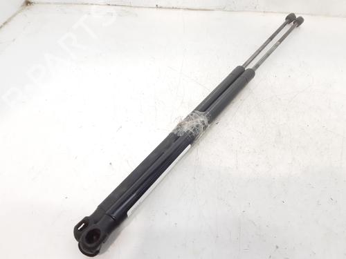 Used Tailgate lift support FORD FIESTA V (JH_, JD_) ST150 (150 hp) 14000336
