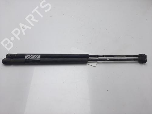 Tailgate lift support SKODA OCTAVIA I (1U2) 1.9 TDI | BP14009436C138 