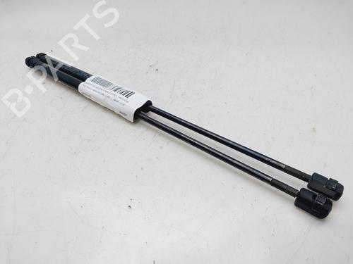 Tailgate lift support FIAT PUNTO Hatchback Van (188_) 1.2 60 | BP29763658C138 