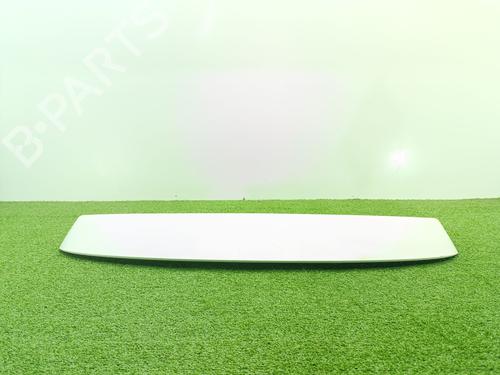 Used Rear spoiler SEAT IBIZA III (6L1) [2002-2009]  30961417