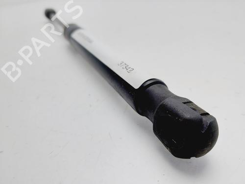 Hood lift support LAND ROVER RANGE ROVER EVOQUE (L538)  | BP25880295C139 