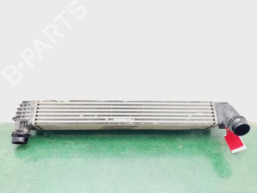 Intercooler RENAULT MEGANE III Grandtour (KZ0/1)  | BP29298411M30 