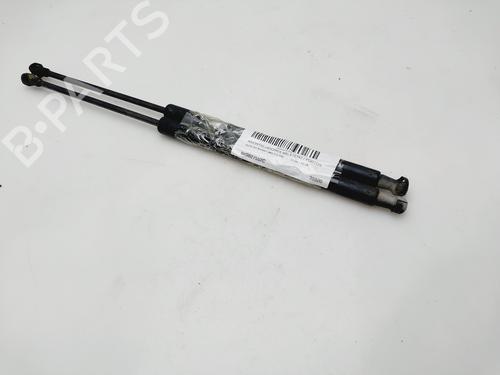 Gassdemper Bakluke AUDI A4 B7 Avant (8ED) [2004-2008]  24496878