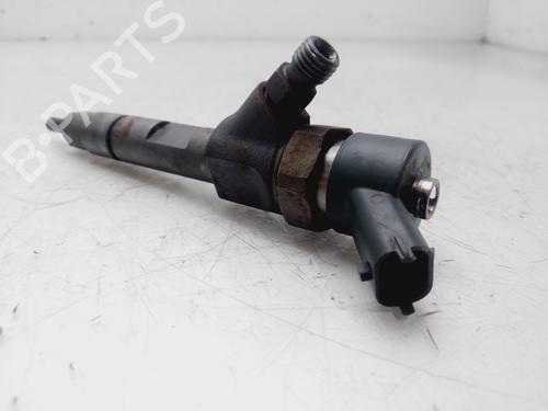Insprojtnings dyse RENAULT SCÉNIC I MPV (JA0/1_, FA0_) 1.9 dCi RX4 | BP29298264M100 