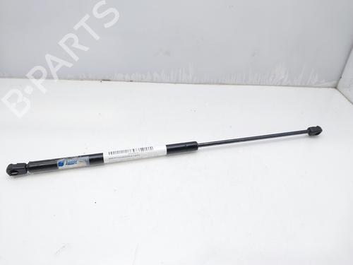 Used Hood lift support CITROËN XSARA (N1) 1.9 D (70 hp) 14006587