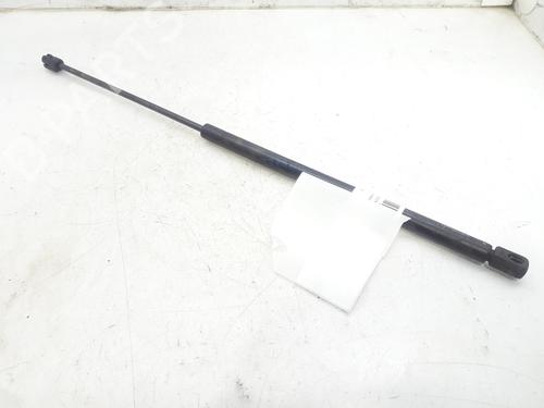 Used Hood lift support CITROËN XSARA (N1) 1.9 D (70 hp) 14003775