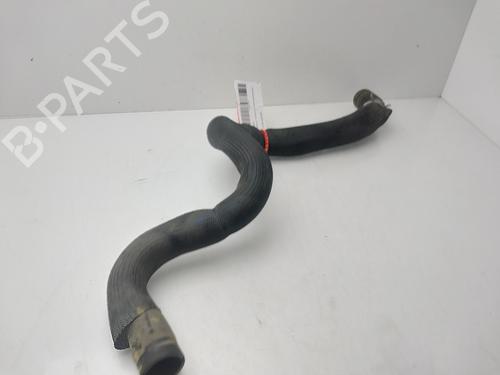 Pipe RENAULT KANGOO III MPV | BP33129902M125 - Image 2