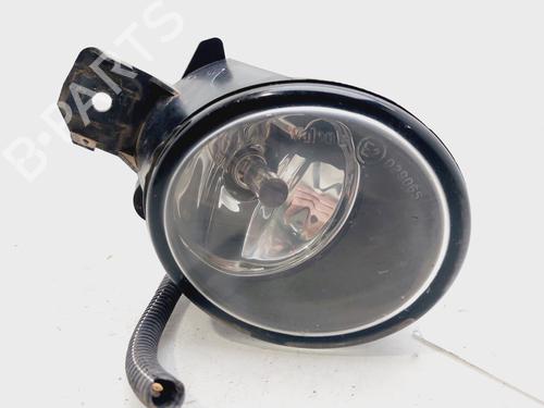 Used Right front fog light RENAULT CLIO III (BR0/1, CR0/1) [2005-2014]  31060407
