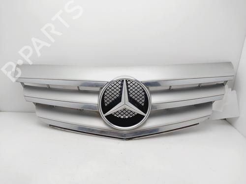 Used Grille MERCEDES-BENZ B-CLASS Sports Tourer (W245) [2005-2011]  29714522