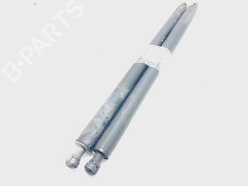 Tailgate lift support BMW X1 (F48) sDrive 16 d | BP18660132C138 