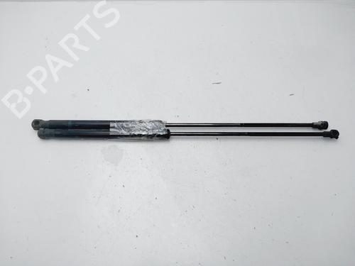 Tailgate lift support CITROËN C4 I (LC_)  9647295480 |
