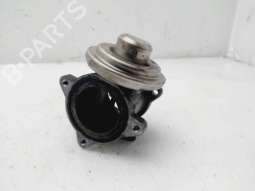 Egr SEAT IBIZA III (6L1)  | BP25902989M69 