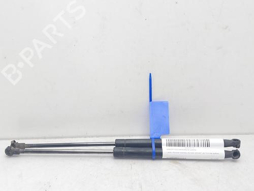 Used Hood lift support LAND ROVER RANGE ROVER SPORT I (L320) 3.6 D 4x4 (272 hp) 14008734