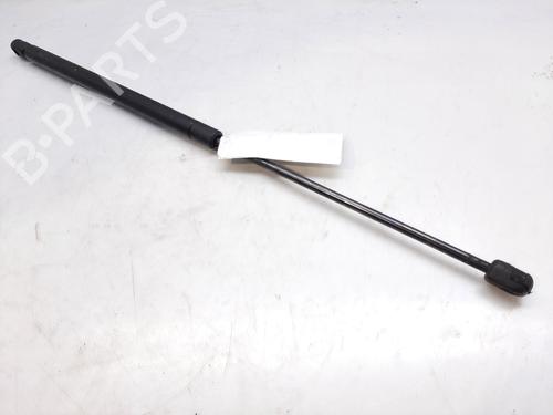 Used Hood lift support SEAT TOLEDO II (1M2) 1.9 TDI (110 hp) 14005013