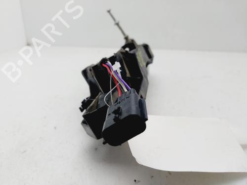 Türgriff vorne links außen RENAULT SCÉNIC III (JZ0/1_) 1.2 TCe (JZ16) | BP29763644C128