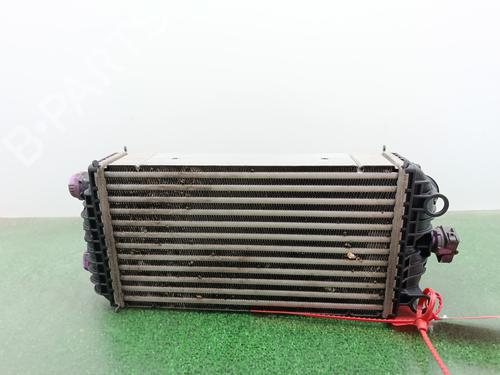 Intercooler PEUGEOT 208 II (UB_, UP_, UW_, UJ_)  | BP30054955M30 