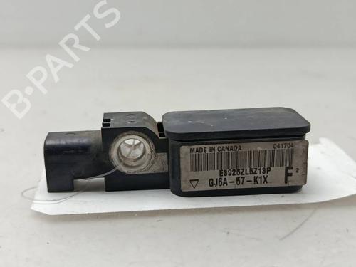 Elektronensonde für Elektronensonde 39504522 39504522
