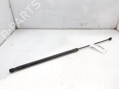 Used Hood lift support VW PASSAT B6 (3C2) 2.0 TDI (140 hp) 14002055