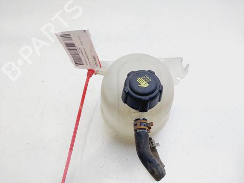 Used Expansion tank DACIA SANDERO [2008-2025]  28064181