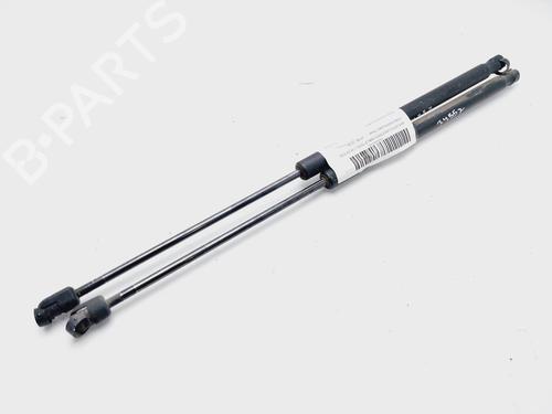 Used Tailgate lift support FORD FIESTA VI (CB1, CCN) 1.4 TDCi (68 hp) 18864403