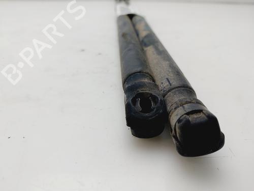 Tailgate lift support OPEL CORSA D (S07)  | BP24496818C138 