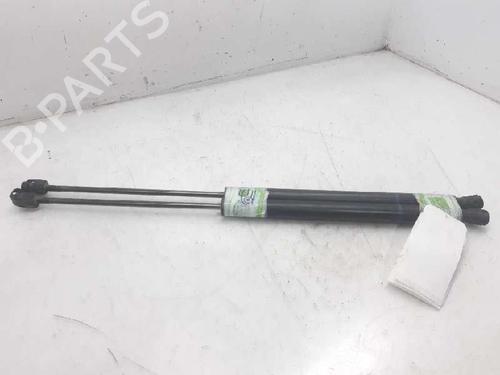 Used Tailgate lift support RENAULT MEGANE II Estate (KM0/1_) 1.4 (98 hp) 13994056