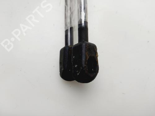 Tailgate lift support SUZUKI SWIFT III (MZ, EZ)  | BP29911109C138