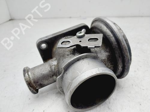 Egr BMW 3 (E46) 320 d | BP29013703M69 