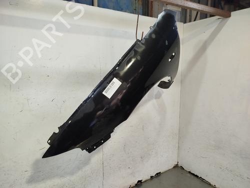 Left front fenders SEAT LEON (1M1)  | BP27379225C41 